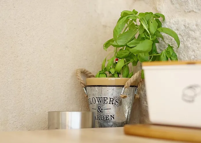 Contarini Lejlighed *